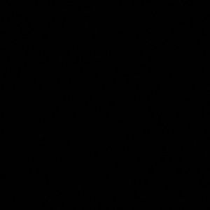 Meet your Posher, Jasmin